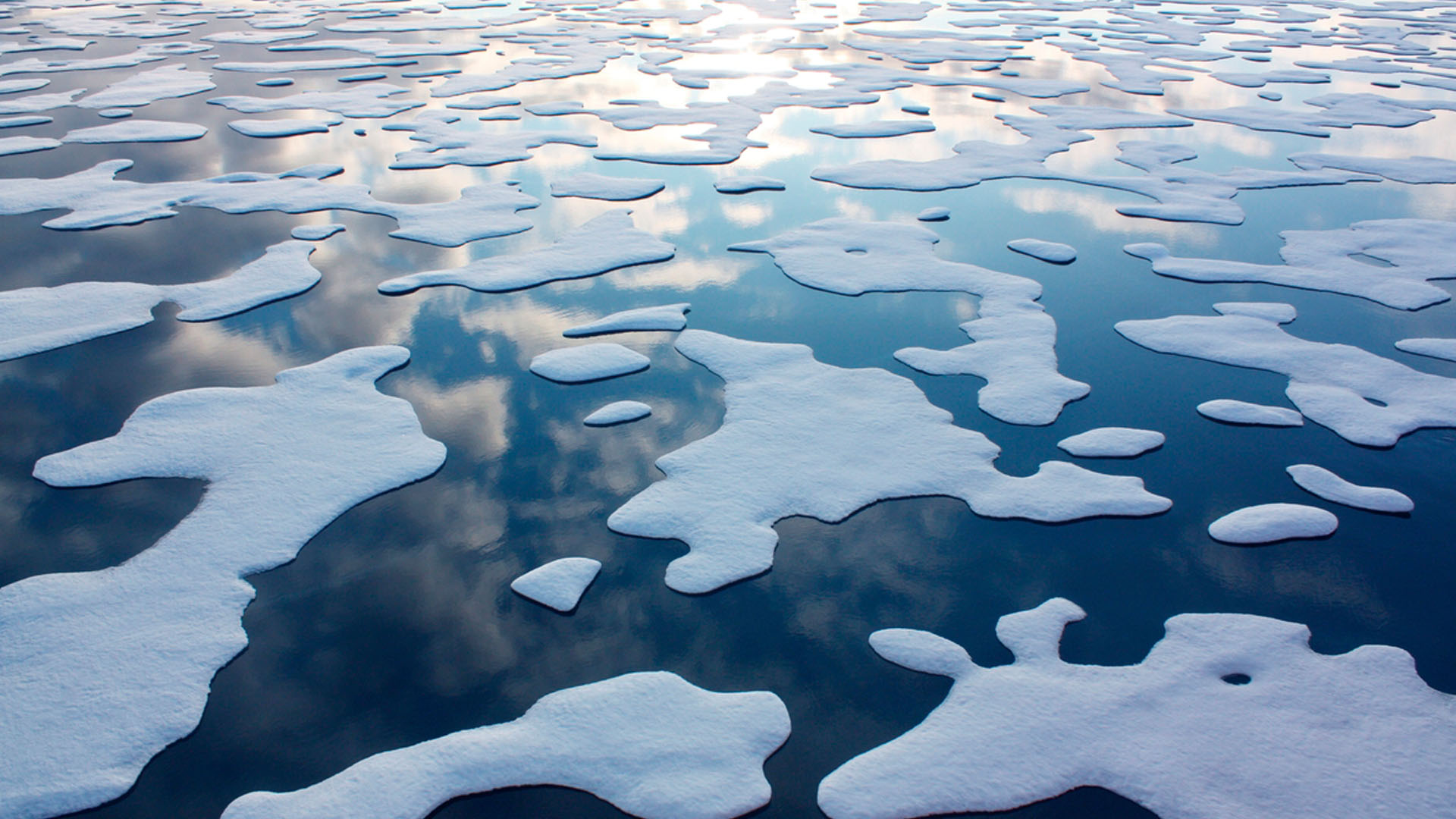Copernicus Arctic Regional Reanalysis (CARRA)