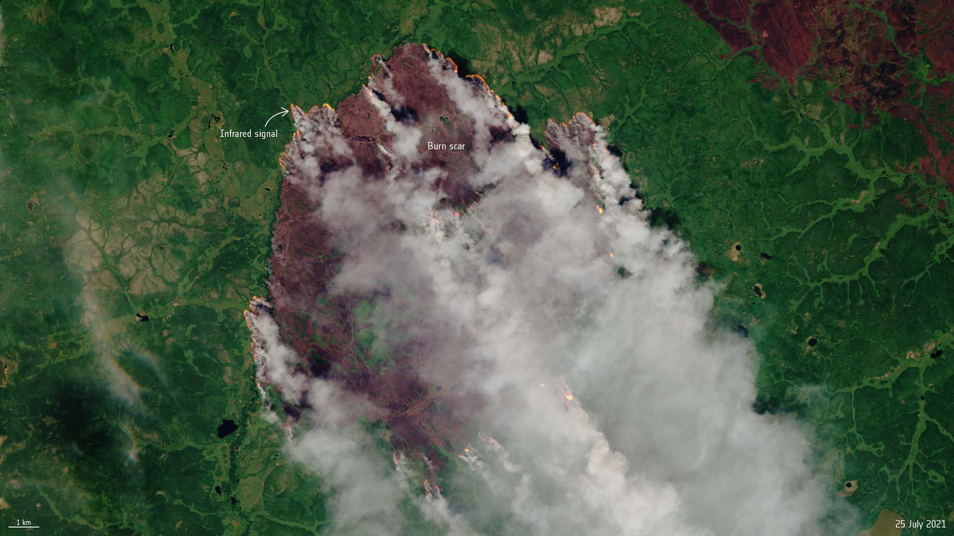CAMS monitors unprecedented wildfires in the Arctic
